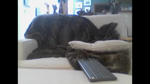 clitboy658752 online show from January 14, 2026, 9:42 pm