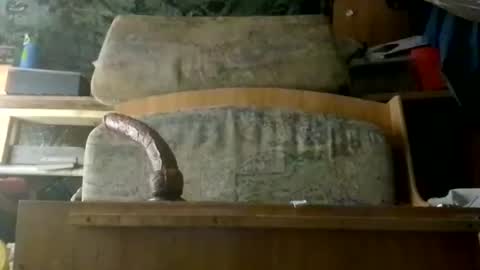 HeyTurkeyBoy online show from March 15, 2026, 11:49 am