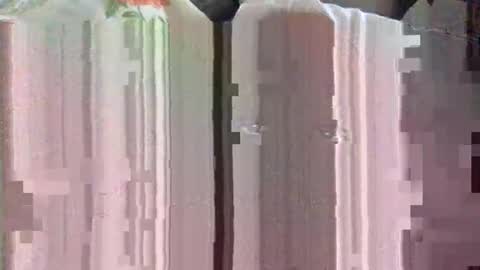 clubtm002 online show from April 29, 2026, 2:43 pm