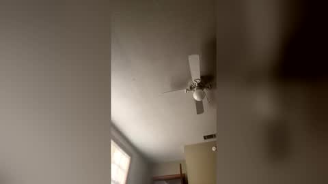 cm653925 online show from February 3, 2026, 1:38 pm