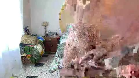Snapshot of cmapetitebite chatting on February 7, 2026, 12:09 pm cmapetitebite online show from February 7, 2026, 12:09 pm