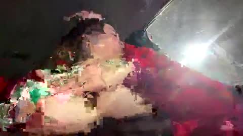 coconutbasil online show from February 5, 2025, 5:20 pm