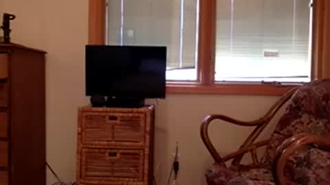 Code By Nova online show from November 8, 2025, 7:56 pm