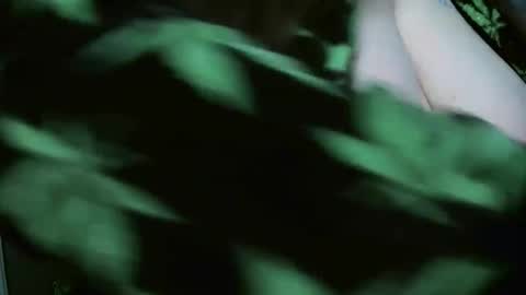 Snapshot of codieraye chatting on December 29, 2024, 8:26 pm TheGoddessCodie online show from December 29, 2024, 8:26 pm