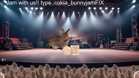 Cokia online show from December 17, 2024, 2:44 am