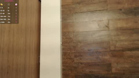 connor_h1 online show from January 15, 2025, 3:33 am