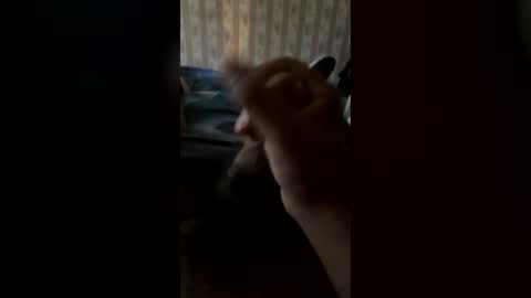 cool473 online show from July 29, 2026, 6:17 pm