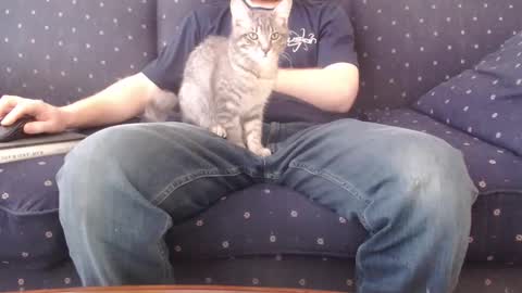 copper_crotch online show from February 14, 2026, 10:28 pm