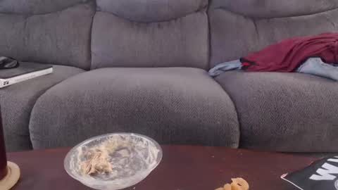 copper_crotch online show from May 2, 2026, 1:32 am