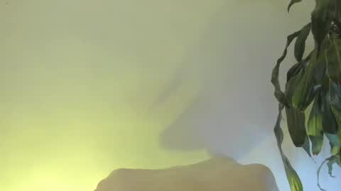 Coral princex online show from February 20, 2026, 6:26 am