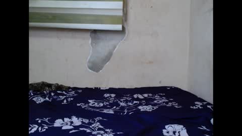 cornxslut online show from September 15, 2025, 7:03 pm