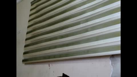 cornxslut online show from September 18, 2025, 8:22 pm