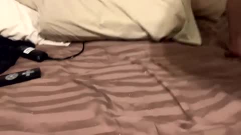 Countrystudd online show from December 11, 2024, 8:58 am