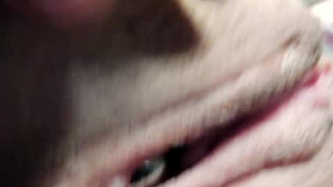 Im Courtney Nice to meet youFollow meInstagram courtneyluv778 online show from January 30, 2025, 3:40 pm