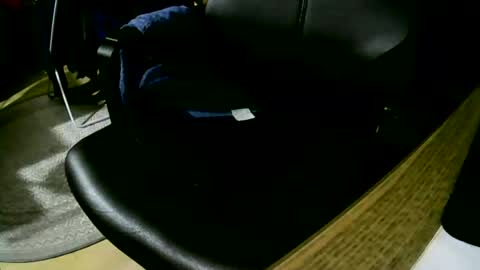 Snapshot of coyote017 chatting on February 8, 2025, 9:15 pm coyote017 online show from February 8, 2025, 9:15 pm