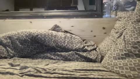 Snapshot of crapaud75018 chatting on January 8, 2025, 6:20 am crapaud75018 online show from January 8, 2025, 6:20 am