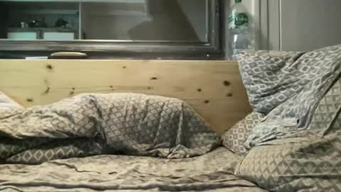 Snapshot of crapaud75018 chatting on November 15, 2025, 8:49 pm crapaud75018 online show from November 15, 2025, 8:49 pm