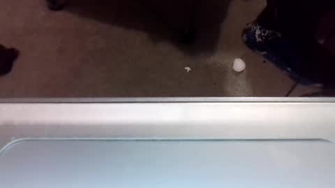 craveitoften online show from January 31, 2025, 1:11 am