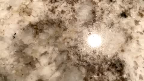 Snapshot of crushit chatting on February 6, 2025, 7:13 am Crushit online show from February 6, 2025, 7:13 am