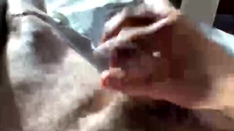 Snapshot of crushit chatting on January 10, 2026, 5:04 pm Crushit online show from January 10, 2026, 5:04 pm