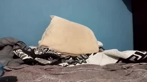 Snapshot of cumbian_chero chatting on February 22, 2025, 1:22 am cumbian_chero online show from February 22, 2025, 1:22 am