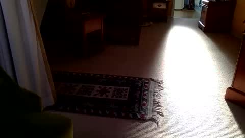 Snapshot of cumonherguys chatting on October 28, 2025, 8:29 am cumonherguys online show from October 28, 2025, 8:29 am