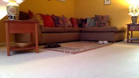 Snapshot of cumonherguys chatting on November 7, 2025, 8:25 am cumonherguys online show from November 7, 2025, 8:25 am