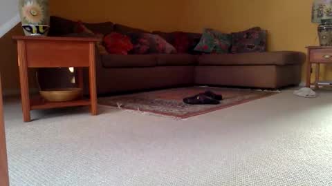 Snapshot of cumonherguys chatting on November 17, 2025, 9:37 am cumonherguys online show from November 17, 2025, 9:37 am