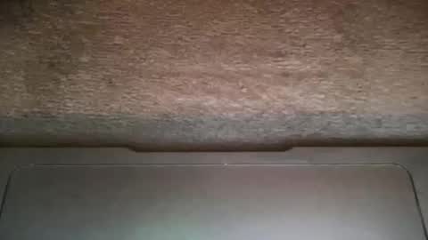 Snapshot of curo69 chatting on November 20, 2025, 12:22 am ALAN online show from November 20, 2025, 12:22 am