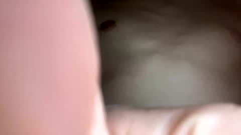 Snapshot of curvy24777 chatting on February 23, 2025, 7:44 am curvy24777 online show from February 23, 2025, 7:44 am