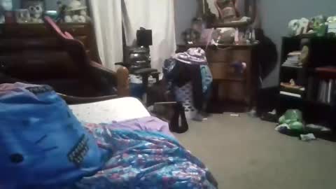 Snapshot of curvyplayday chatting on December 24, 2024, 11:55 pm dahlia -kim online show from December 24, 2024, 11:55 pm