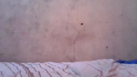 Snapshot of cute_divah4 chatting on June 12, 2026, 4:22 am cute_divah4 online show from June 12, 2026, 4:22 am