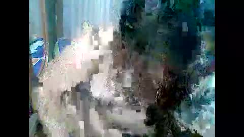 cutechubbyasian online show from April 26, 2026, 11:30 am