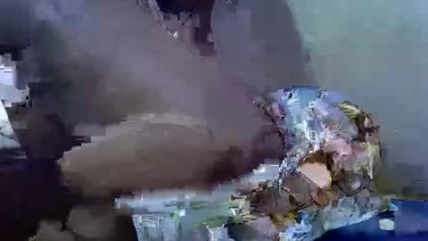 cutesexy44 online show from October 18, 2025, 7:09 am