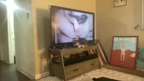 CuteUwUboytoy online show from March 18, 2026, 8:17 am