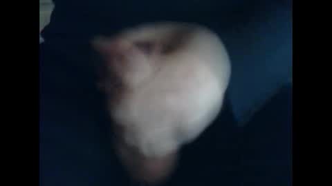 Snapshot of cutieguy86 chatting on October 31, 2025, 11:44 am CutieBoy online show from October 31, 2025, 11:44 am