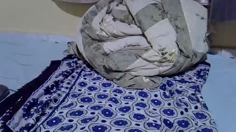 Snapshot of cuttepappy chatting on June 15, 2026, 8:22 pm cuttepappy online show from June 15, 2026, 8:22 pm