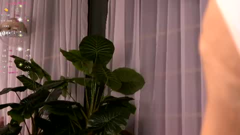 Ivy online show from July 3, 2026, 3:35 am