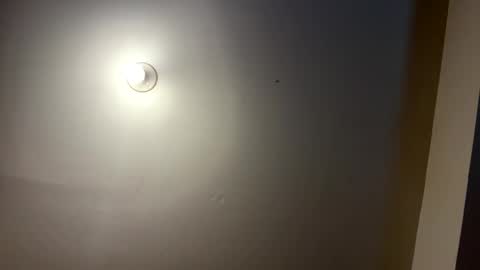 daboss41126 online show from March 18, 2026, 1:42 am