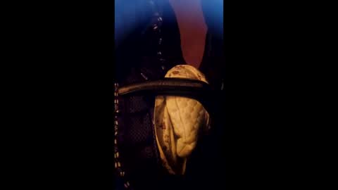 Daddett iS Wett online show from March 17, 2026, 5:22 am