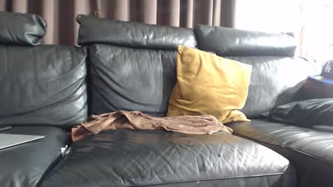 daddy6969xxxx online show from February 8, 2025, 7:15 am