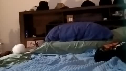 Snapshot of daddy69sx77 chatting on February 17, 2026, 6:03 pm Kasey Xdresser online show from February 17, 2026, 6:03 pm