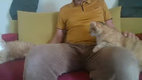 daddycomehome1 online show from June 1, 2026, 8:16 am
