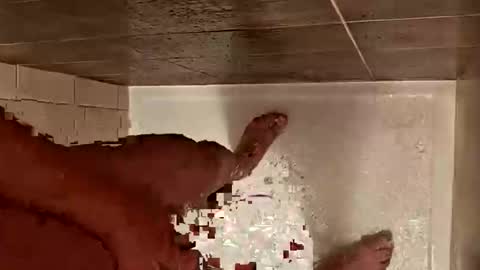 Snapshot of daddycoolm chatting on October 29, 2025, 7:10 am LetsHaveFunTogether online show from October 29, 2025, 7:10 am