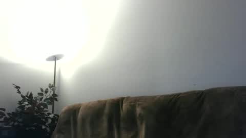 Snapshot of daddydave6400 chatting on May 18, 2026, 3:46 am daddydave6400 online show from May 18, 2026, 3:46 am