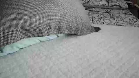 daddyslittleebony online show from April 29, 2026, 9:13 am