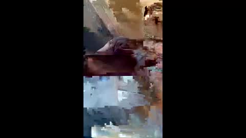 dadsfreedickrides online show from June 4, 2026, 9:15 am