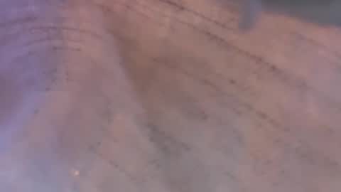 Daisy137 online show from March 8, 2026, 6:44 pm