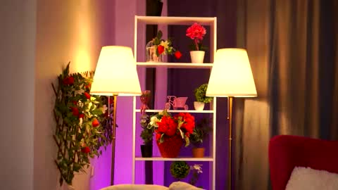 Daisy online show from March 16, 2026, 7:29 pm