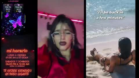 Dakko online show from February 1, 2026, 9:08 am